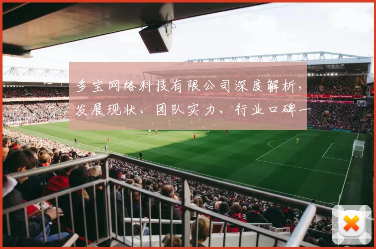 多宝网络科技有限公司深度解析，发展现状、团队实力、行业口碑一网打尽，企业价值全方位解读