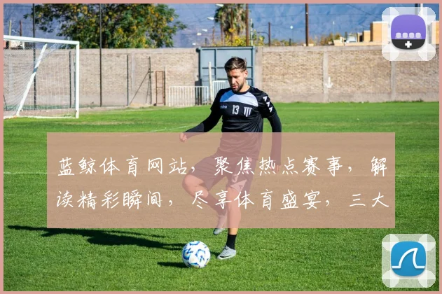 蓝鲸体育网站，聚焦热点赛事，解读精彩瞬间，尽享体育盛宴，三大版块，一网打尽