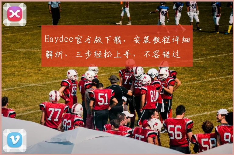 Haydee官方版下载，安装教程详细解析，三步轻松上手，不容错过