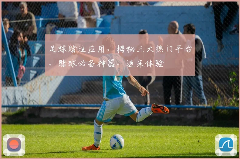 足球赌注应用，揭秘三大热门平台，赌球必备神器，速来体验